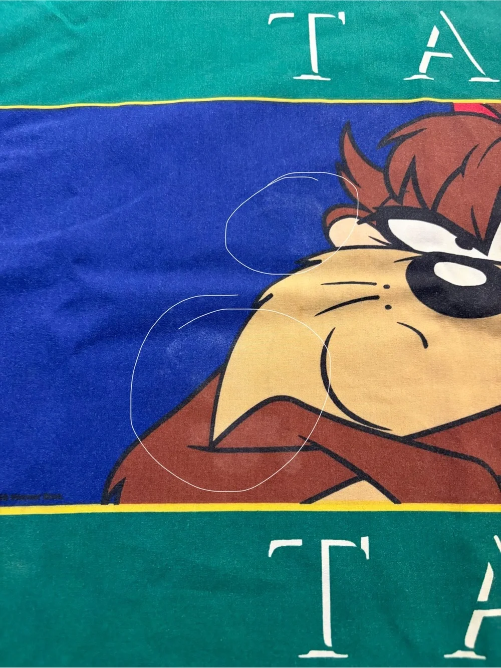 Warner Bros. Taz Pillowcase in Green, Blue, Red